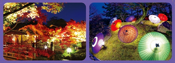 錦を纏う 徳川園 紅葉祭 夜間公開