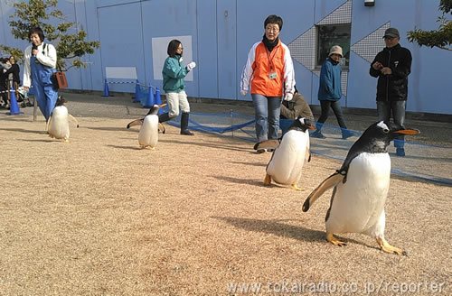 名古屋港水族館 飛びこみマイク レポーター 東海ラジオ 1332khz 92 9mhz 名古屋港水族館 飛びこみマイク レポーター 東海ラジオ 1332khz 92 9mhz