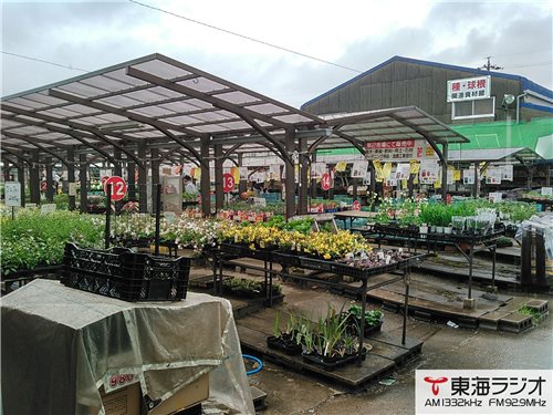 三貴フラワーセンター 飛びこみマイク レポーター 東海ラジオ 1332khz 92 9mhz