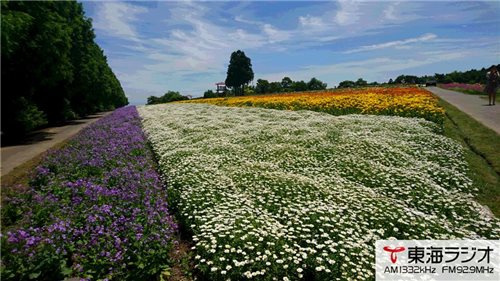 メナード青山リゾート 飛びこみマイク リポーター 東海ラジオ Fm92 9mhz Am1332khz