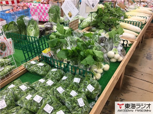 Ja蒲郡市 グリーンセンター蒲郡 飛びこみマイク レポーター 東海ラジオ Fm92 9mhz Am1332khz Ja蒲郡市 グリーンセンター蒲郡 飛びこみマイク レポーター 東海ラジオ Fm92 9mhz Am1332khz