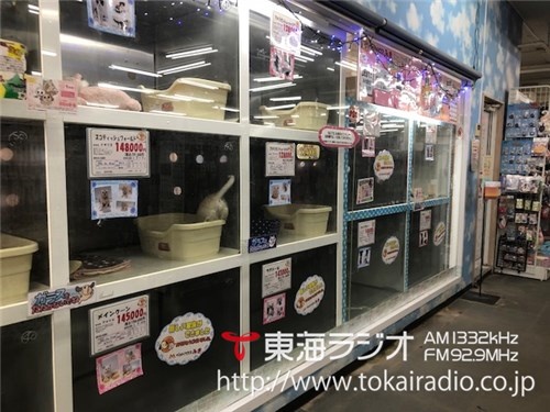 三貴フラワーセンター ペット館 Driver S Report リポーター Tokai Radio Fm92 9mhz Am1332khz