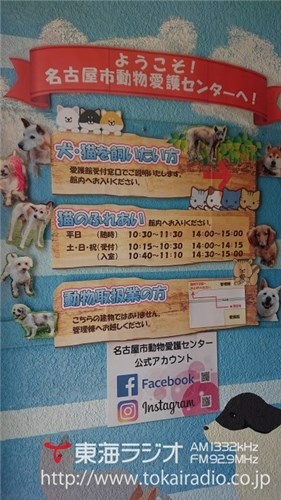 名古屋市動物愛護センター 飛びこみマイク レポーター 東海ラジオ 1332khz 92 9mhz