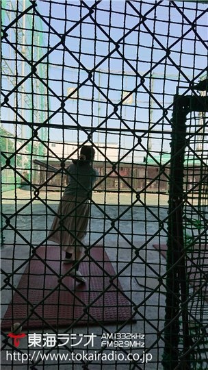 バッティングセンター甲子園 飛びこみマイク レポーター 東海ラジオ 1332khz 92 9mhz