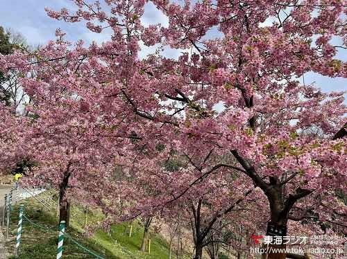 東山動植物園 Driver S Report リポーター Tokai Radio Fm92 9mhz Am1332khz