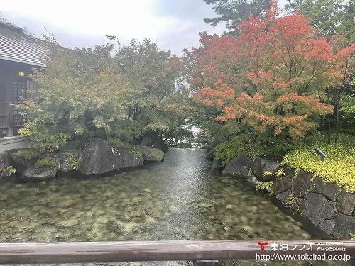 徳川園 Driver S Report リポーター Tokai Radio Fm92 9mhz Am1332khz