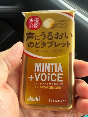 『ミンティア プラスボイス』